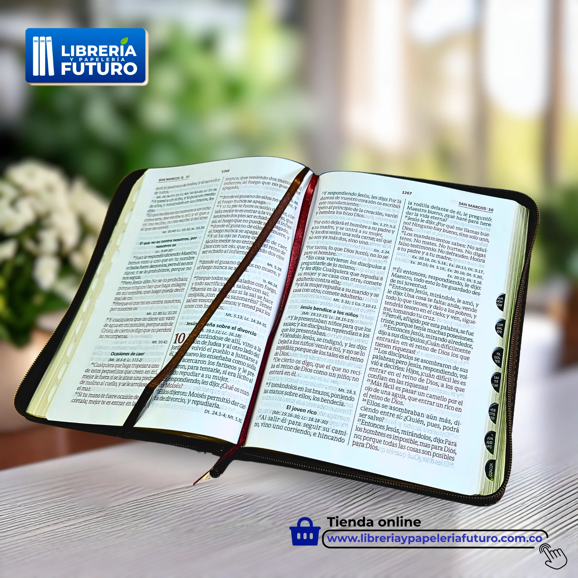 Biblia café grande - Image 4