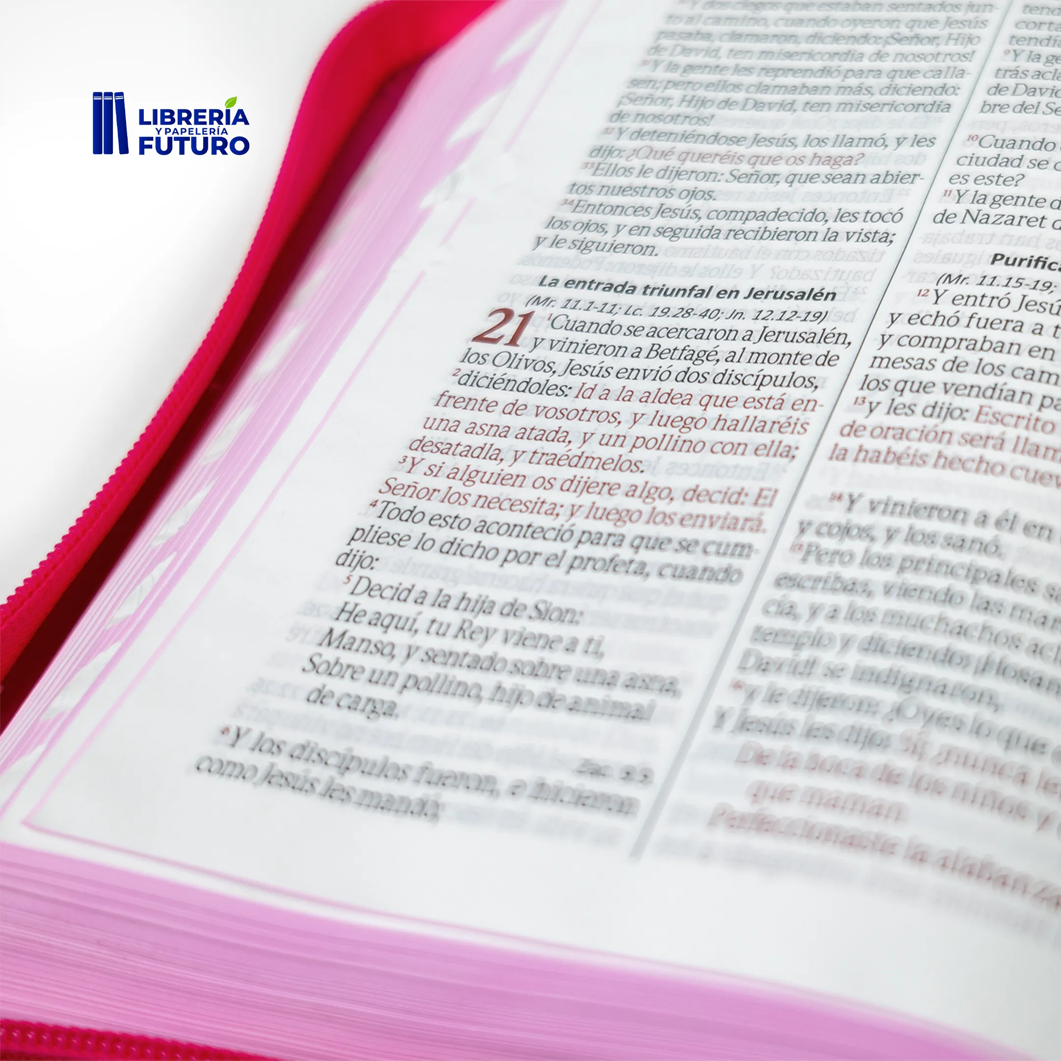 Biblia mediana SBC fucsia - Image 4