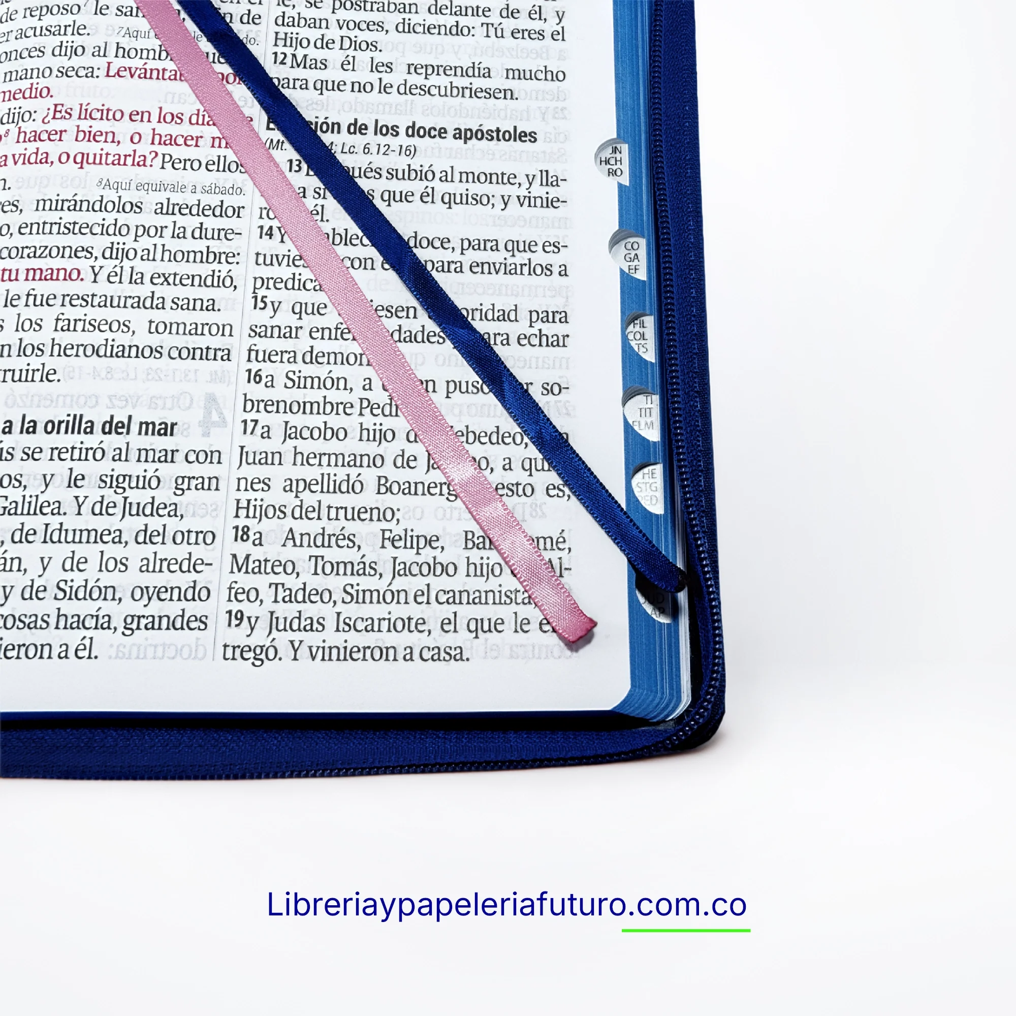 Biblia gigante azul floral - Image 9