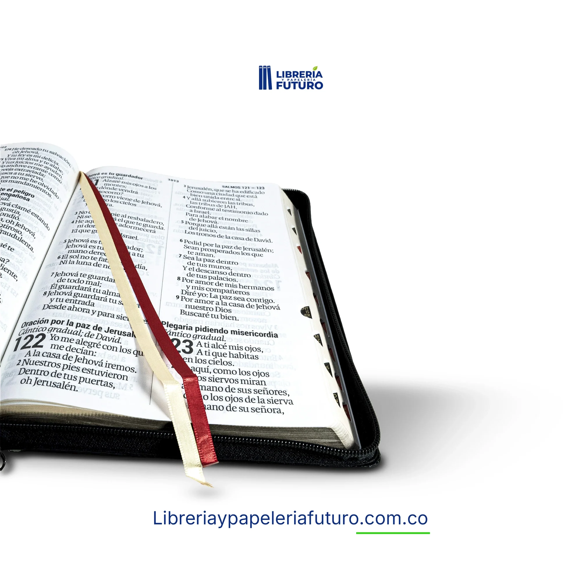 Biblia gigante negra - Image 3