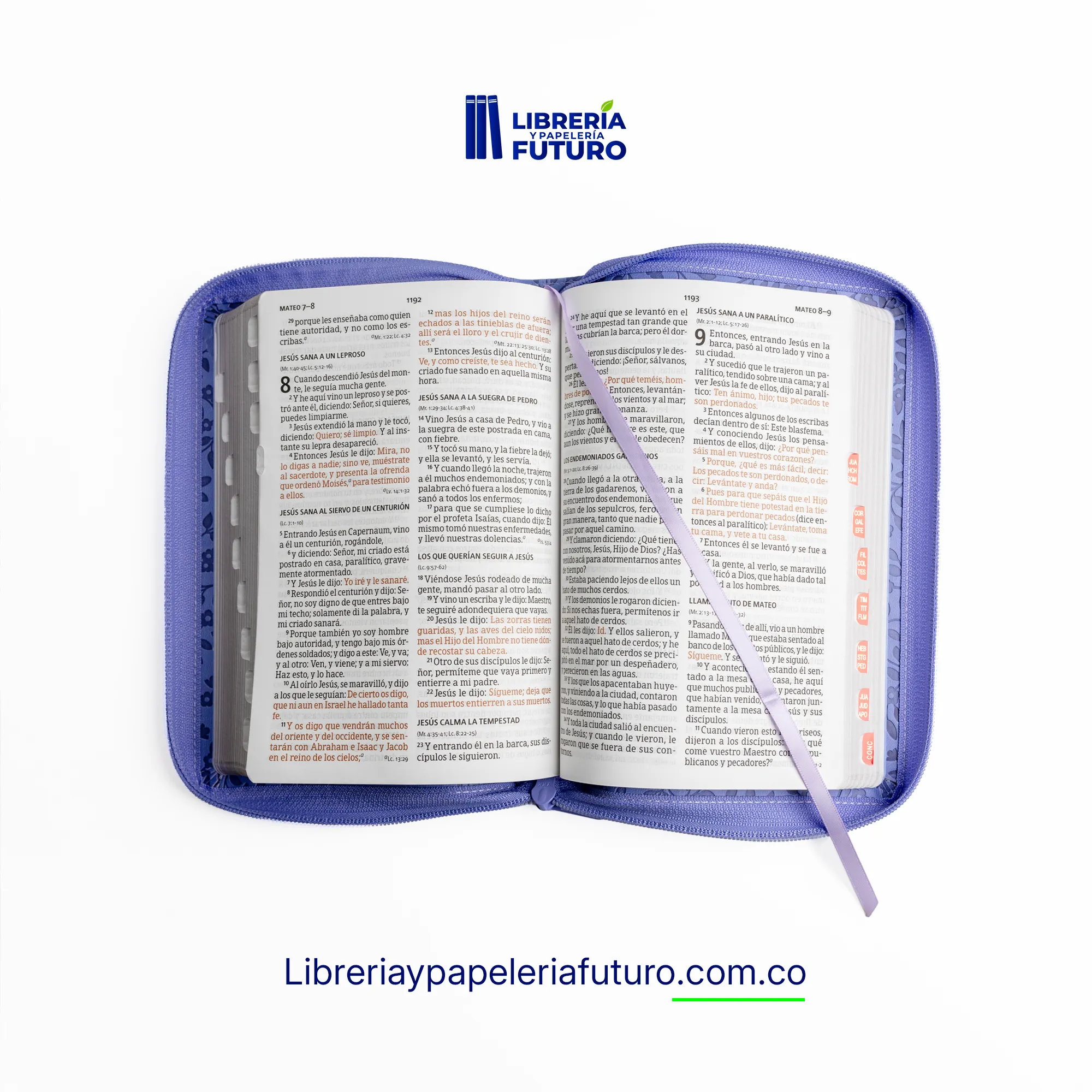 Biblia mediana Holman lavanda - Image 4