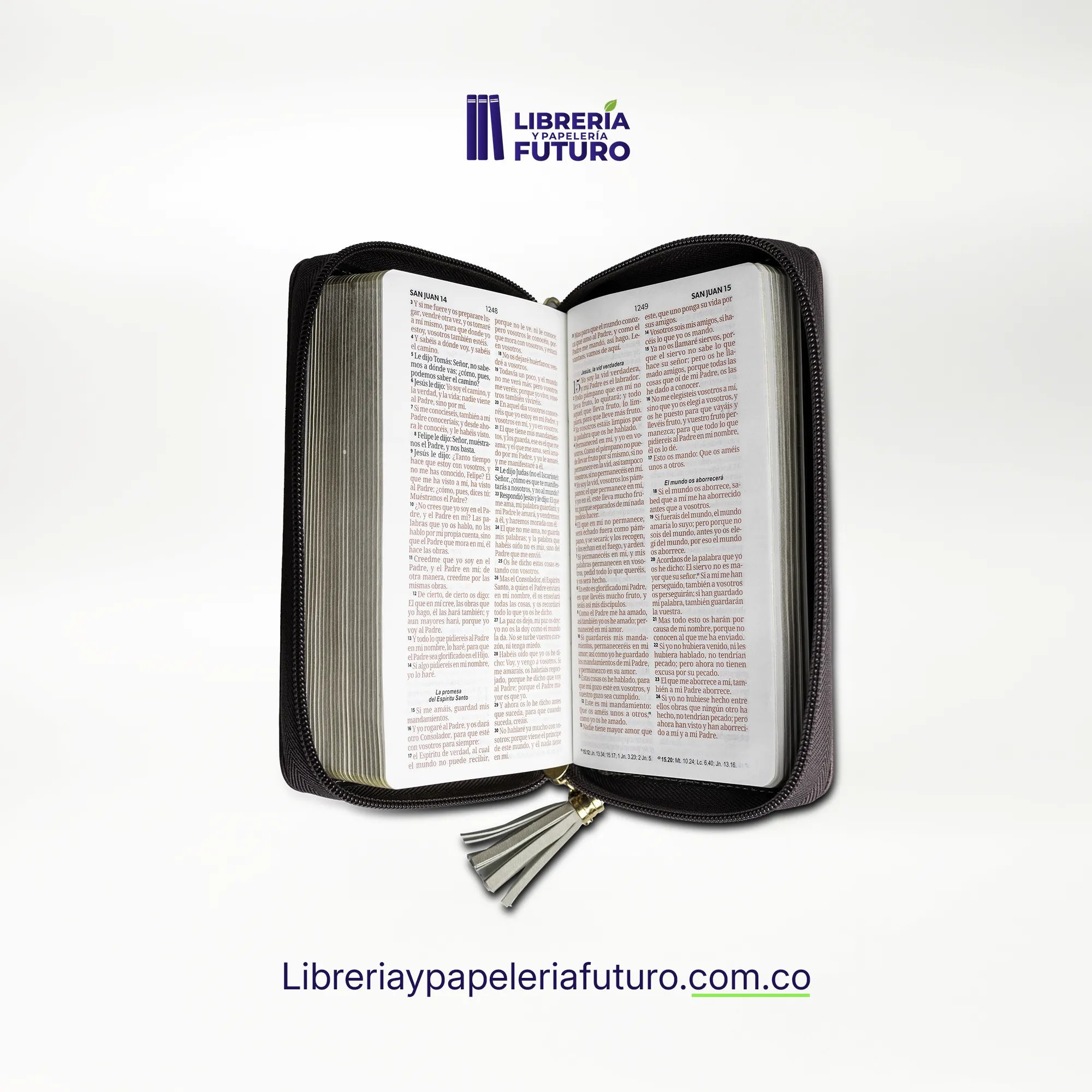 Biblia beige/café tipo chequera - Image 5