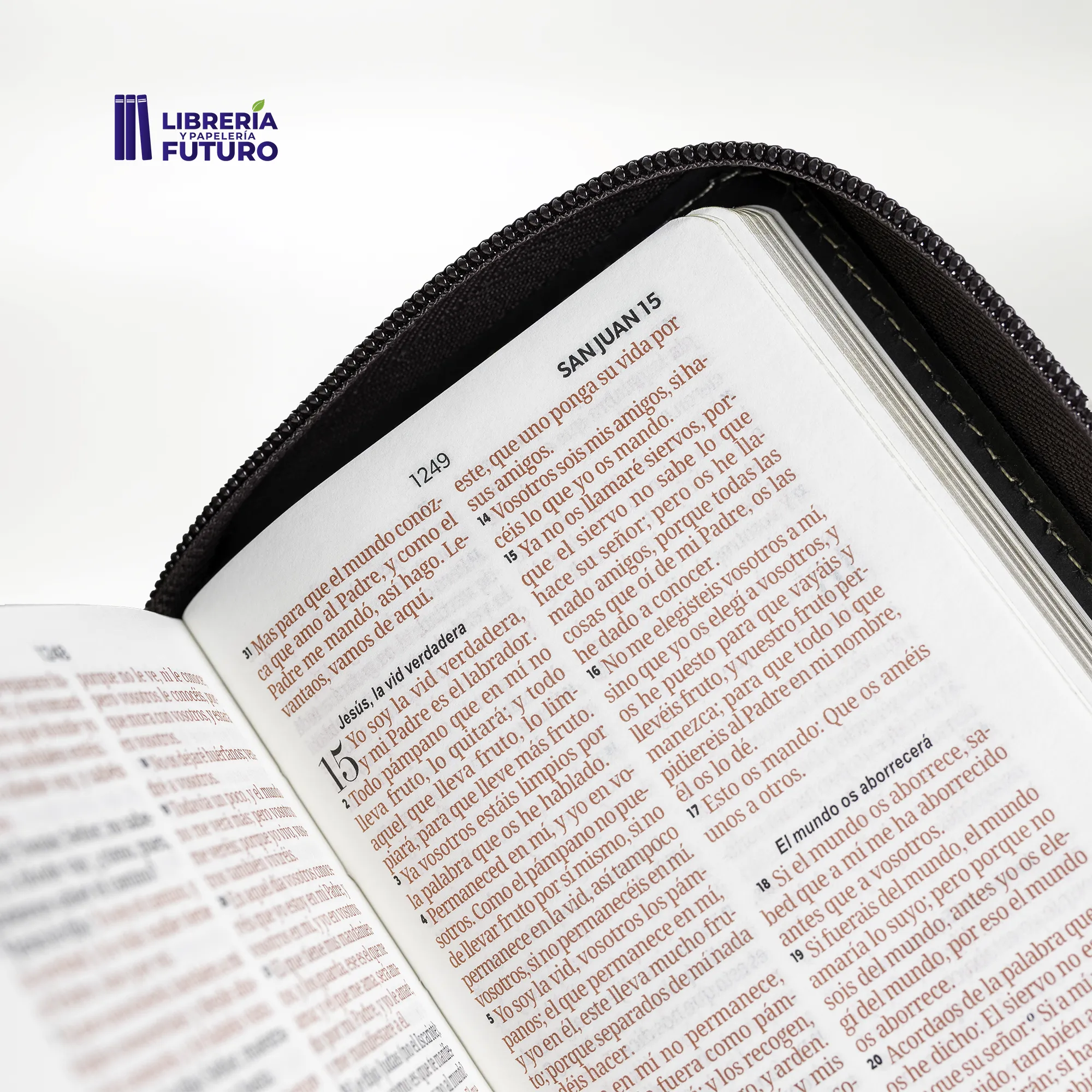 Biblia beige/café tipo chequera - Image 7