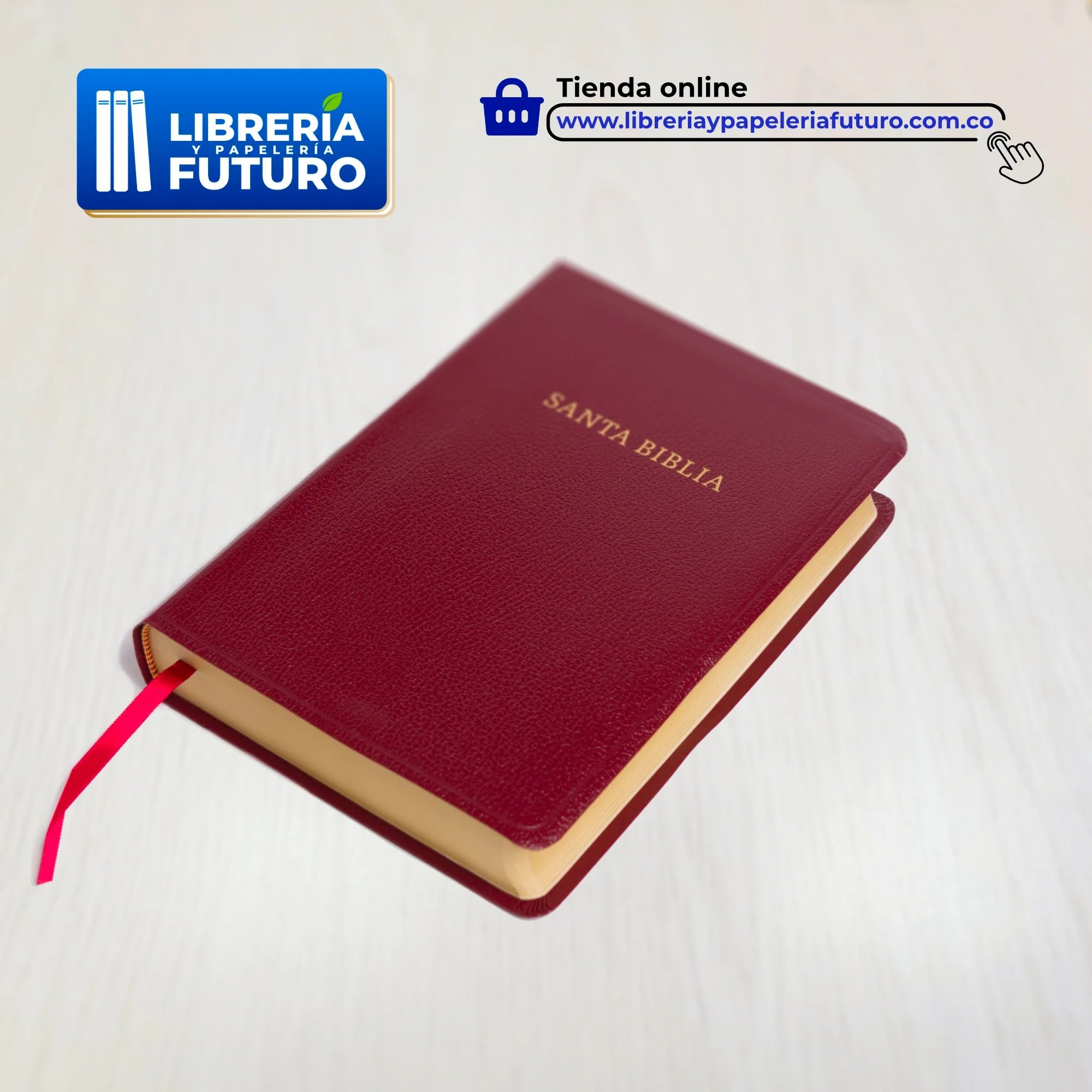 Biblia mediana con letra grande Holman borgoña - Image 4