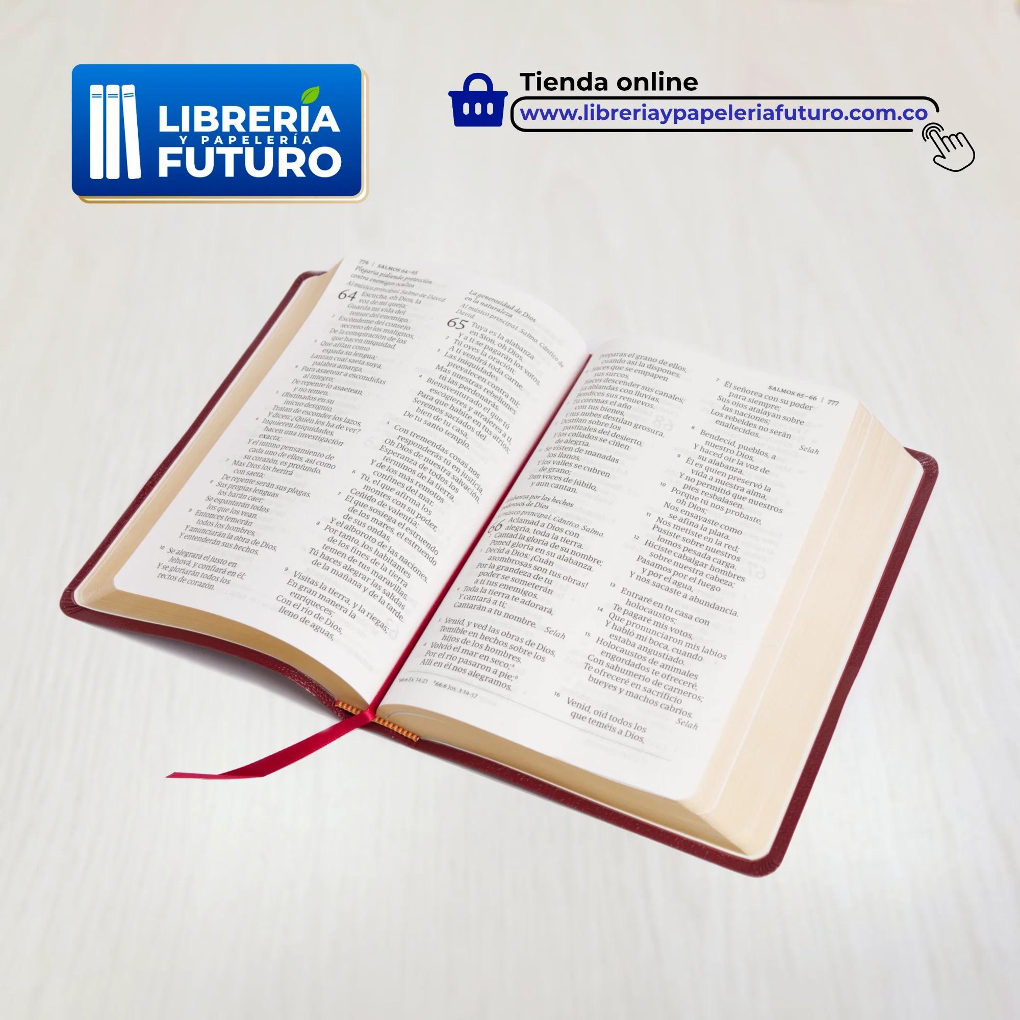 Biblia mediana con letra grande Holman borgoña - Image 5