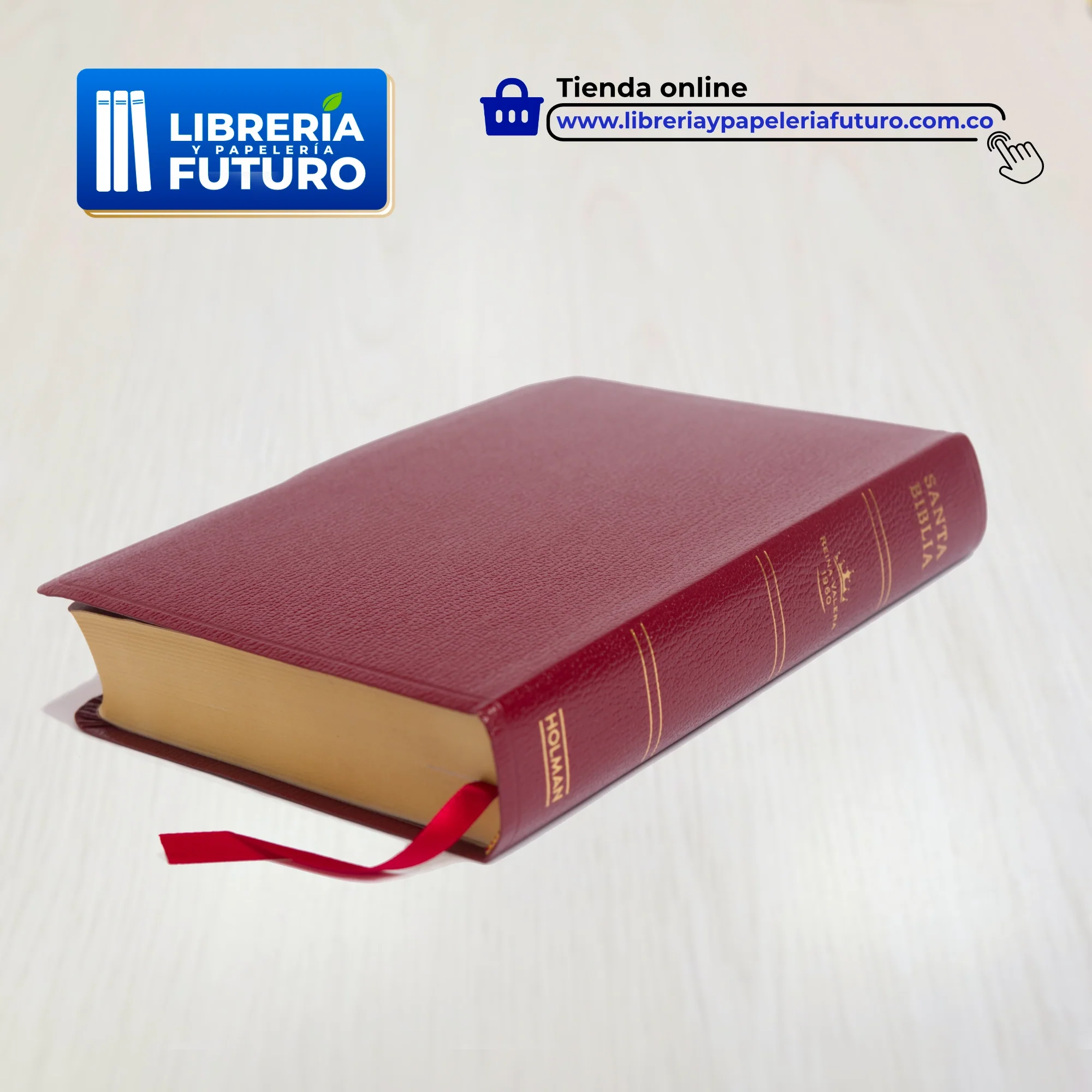 Biblia mediana con letra grande Holman borgoña - Image 6