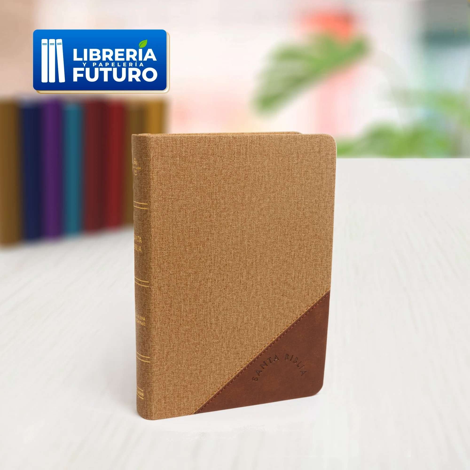Biblia mediana Holman café/duotono - Image 3