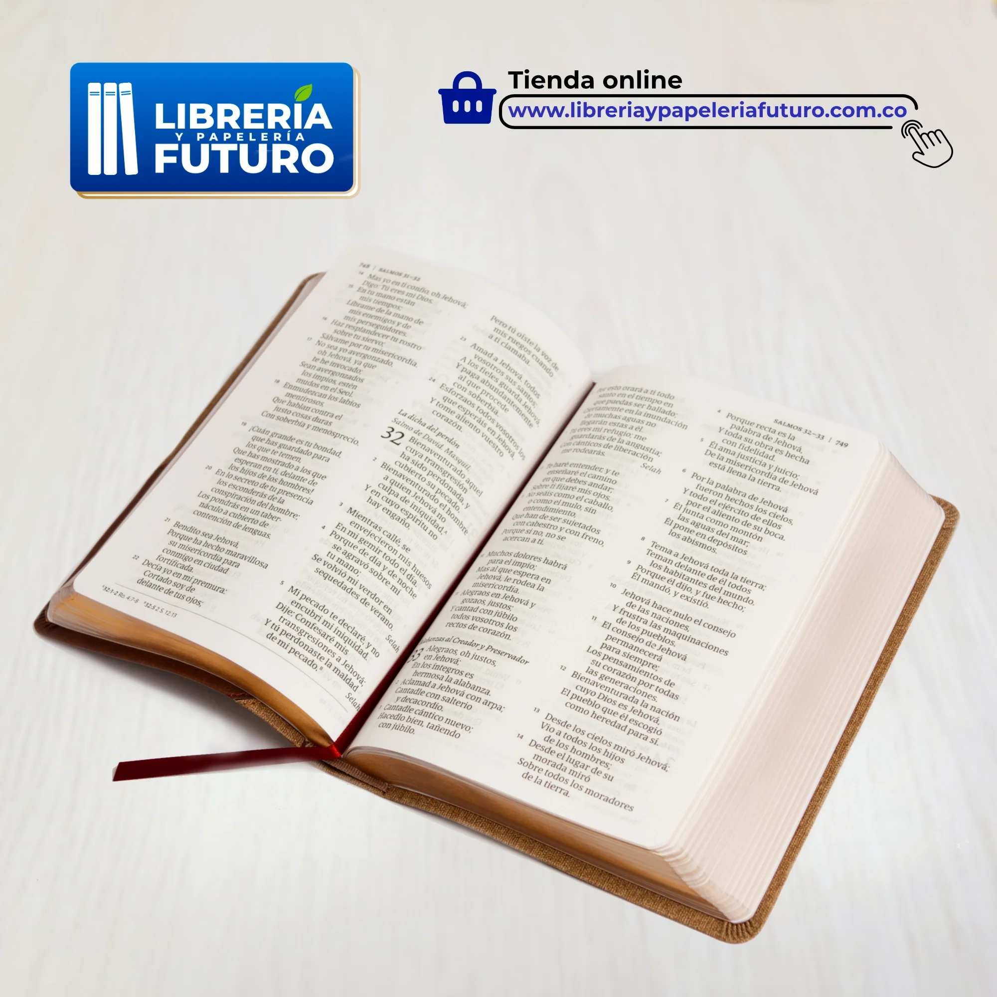 Biblia mediana Holman café/duotono - Image 4