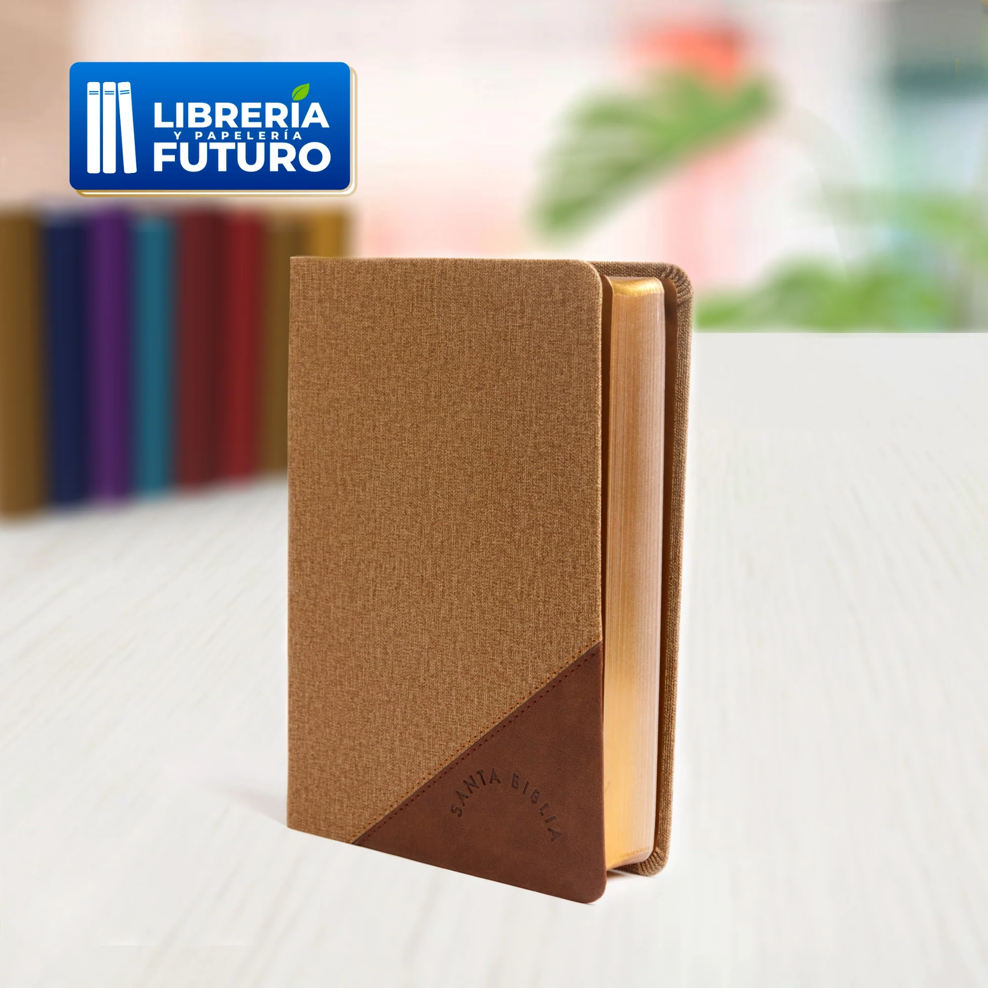 Biblia mediana Holman café/duotono - Image 5
