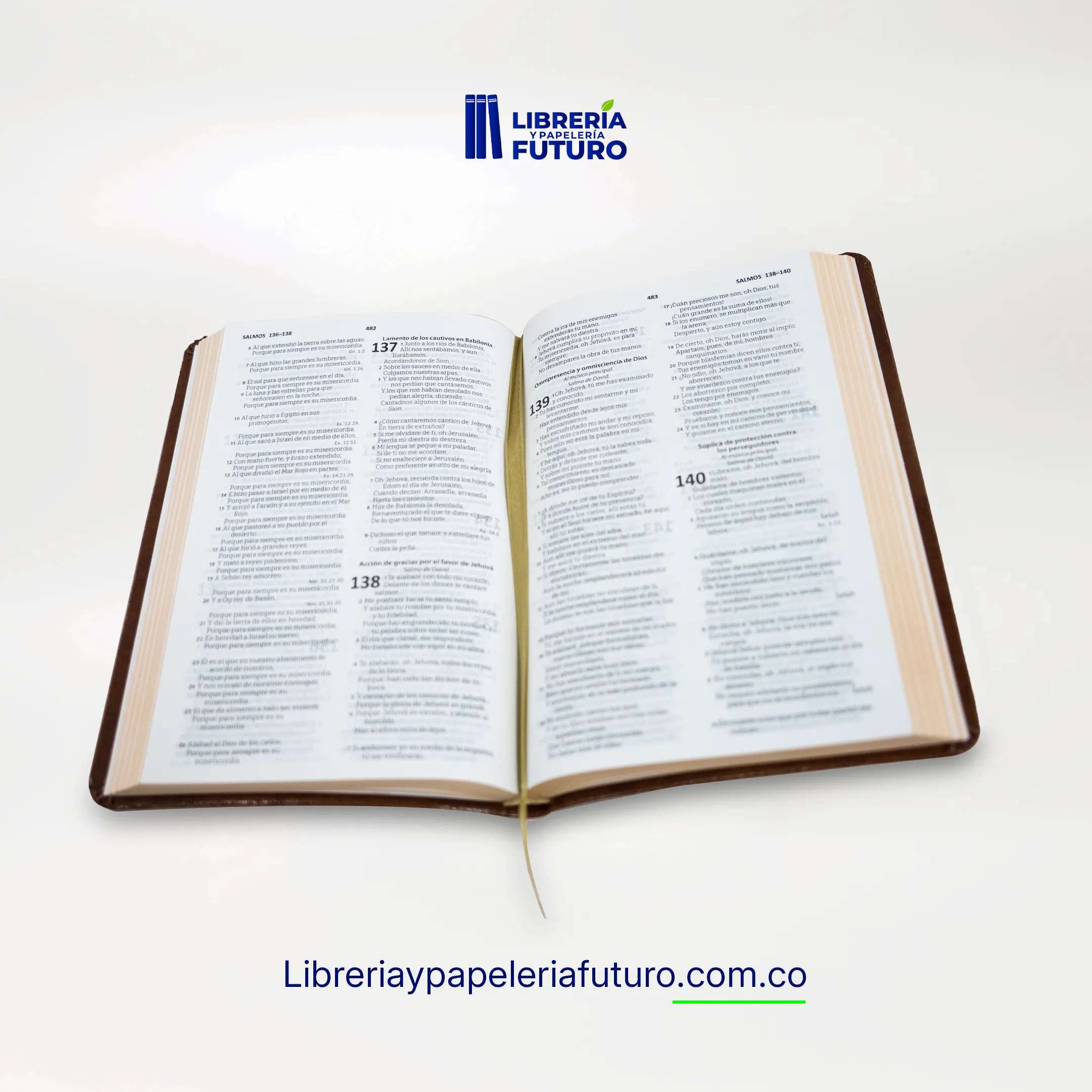 Biblia liviana café - Image 3