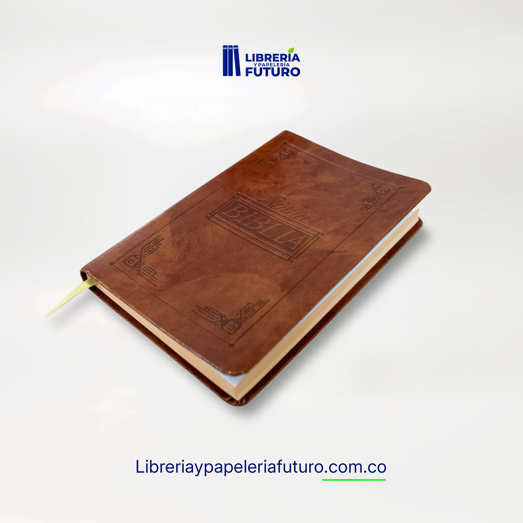 Biblia liviana café - Image 4