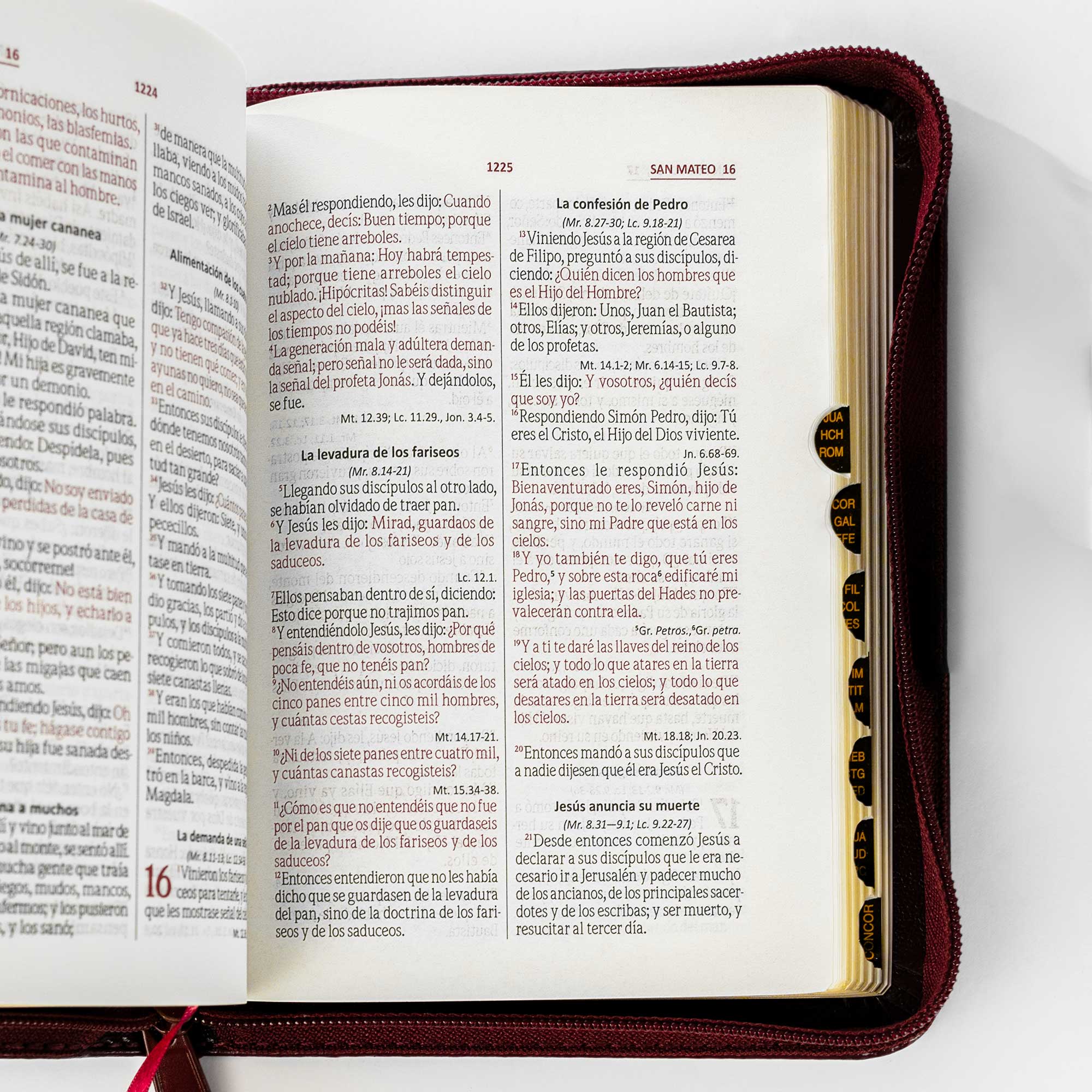 Biblia tamaño y letra pequeña vinotinto - Image 3