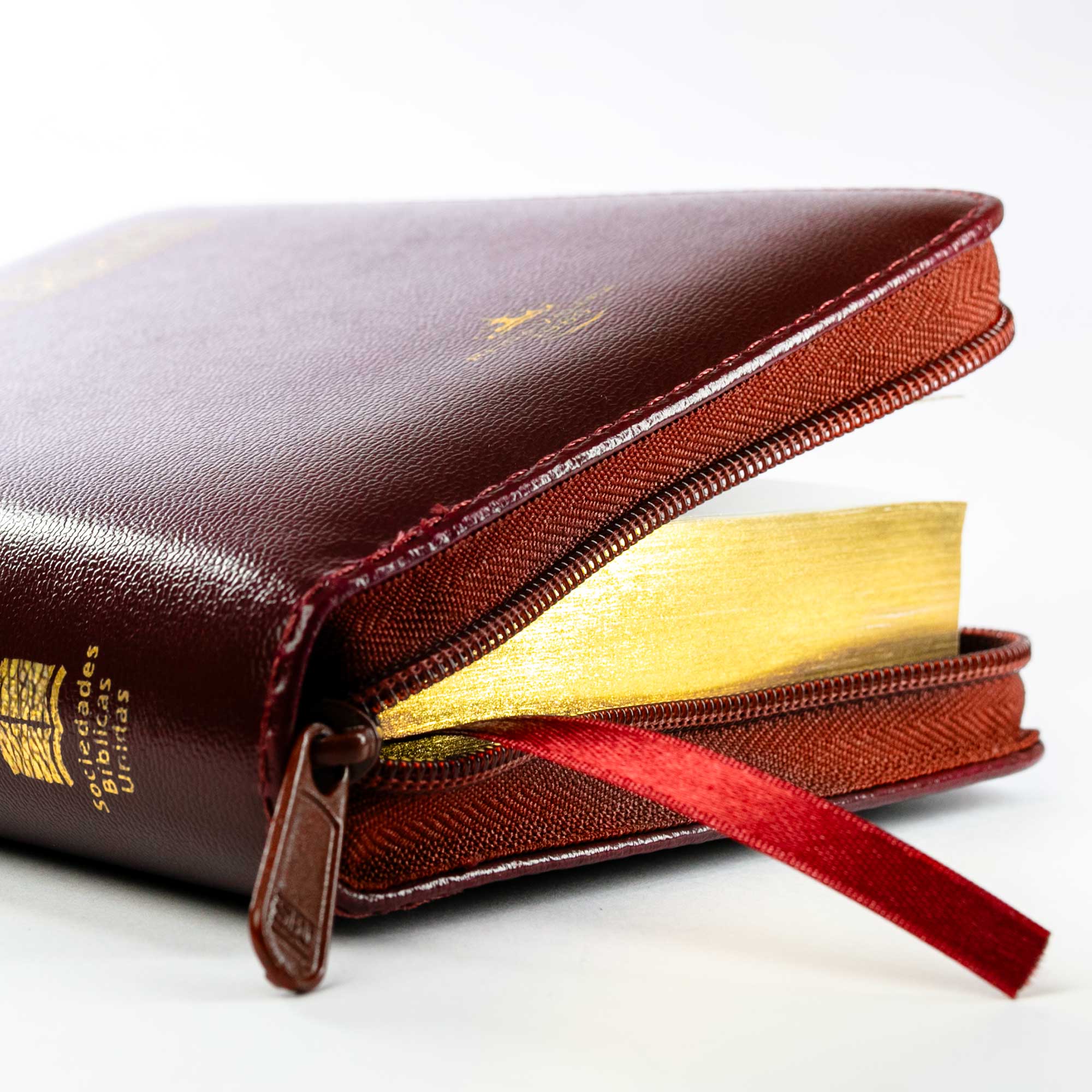 Biblia tamaño y letra pequeña vinotinto - Image 4