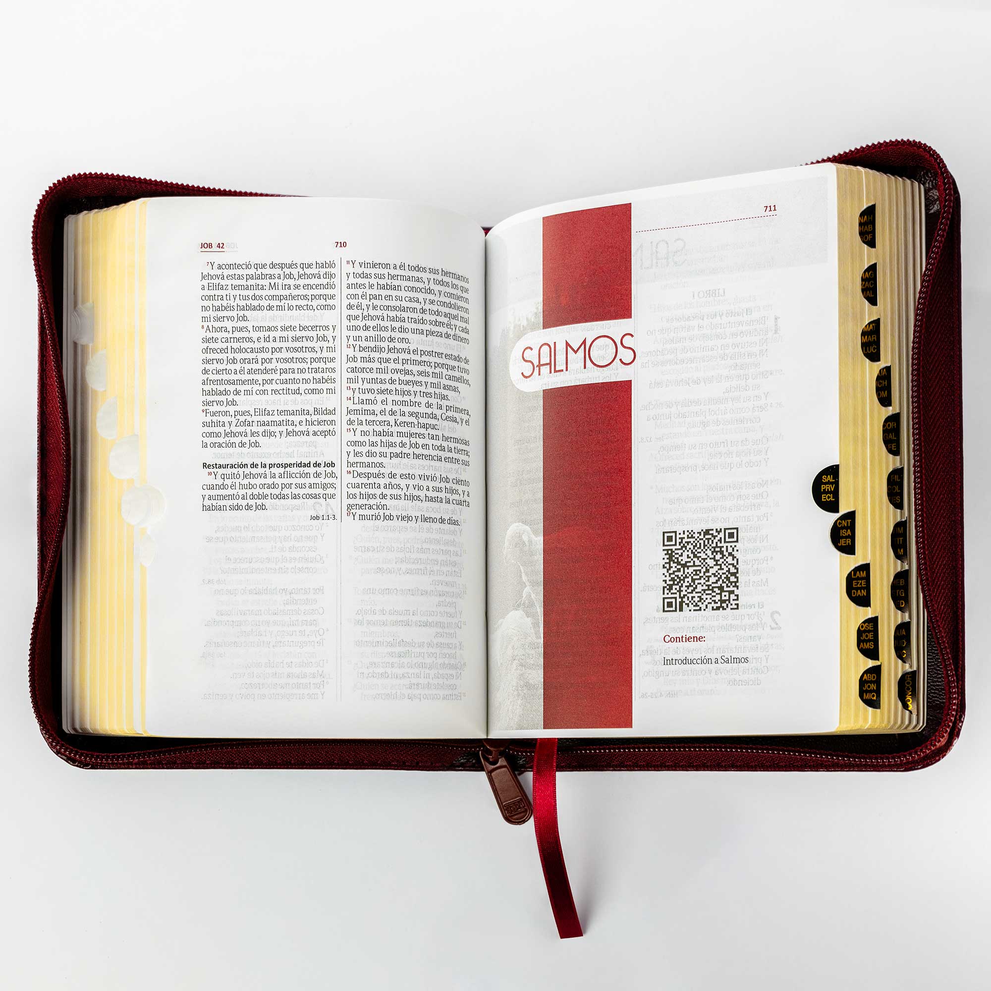 Biblia tamaño y letra pequeña vinotinto - Image 5