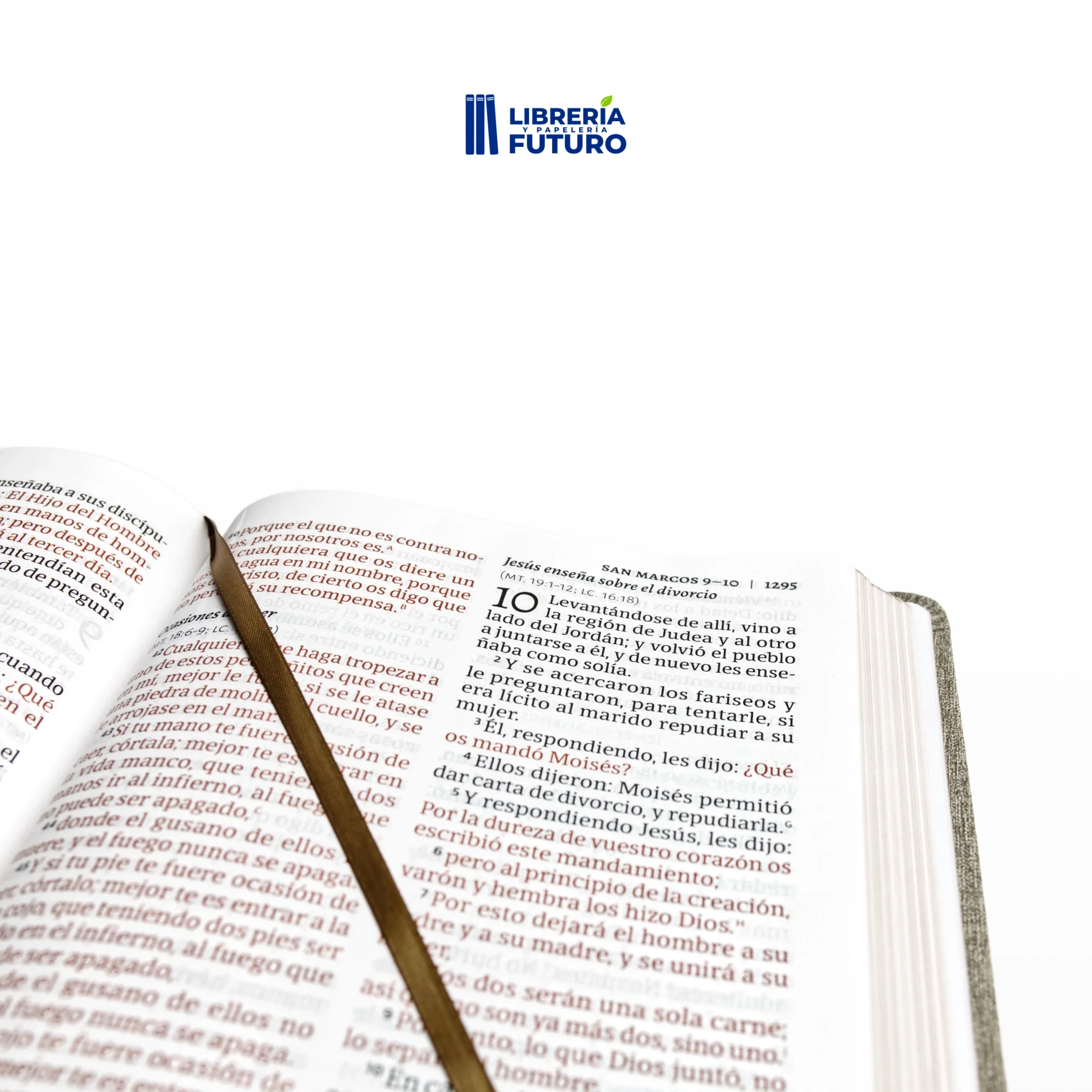 Biblia gigante gris - Image 3