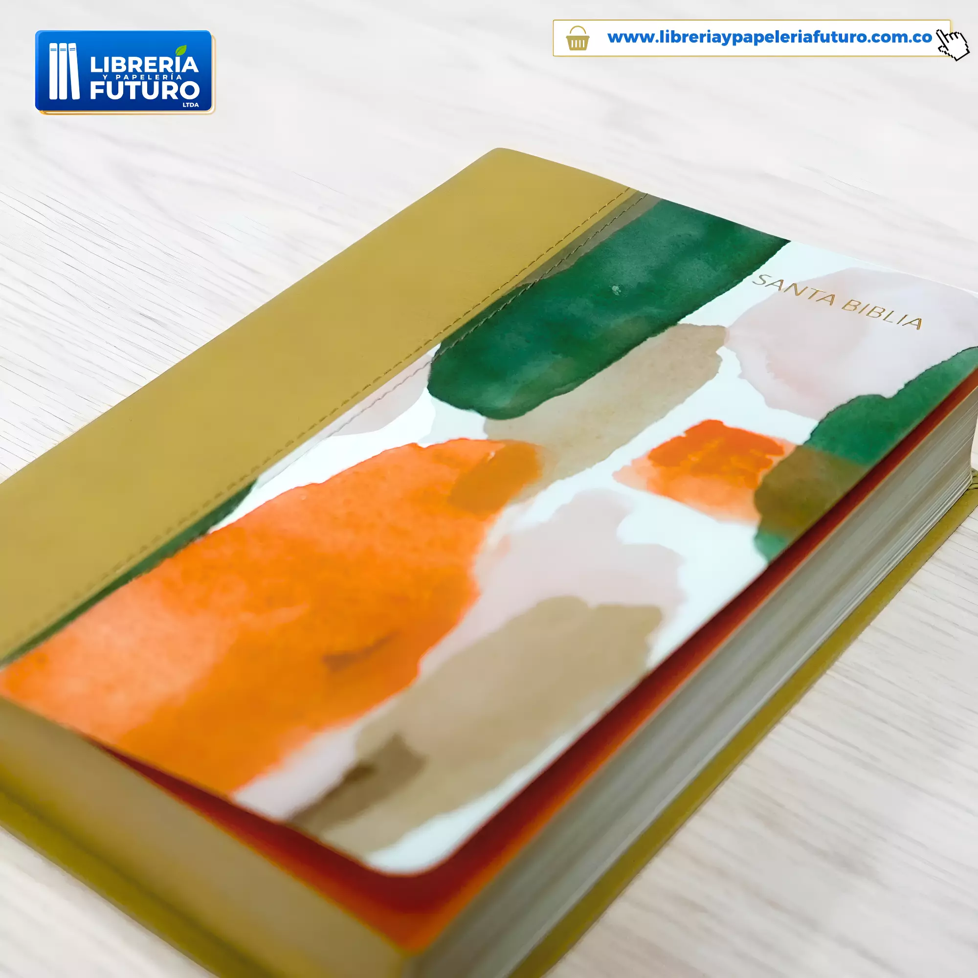 Biblia mediana Holman multicolor - Image 3