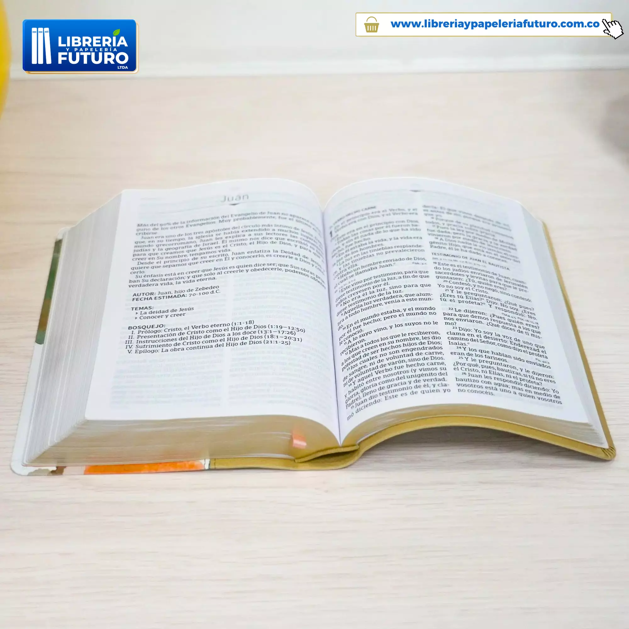 Biblia mediana Holman multicolor - Image 4