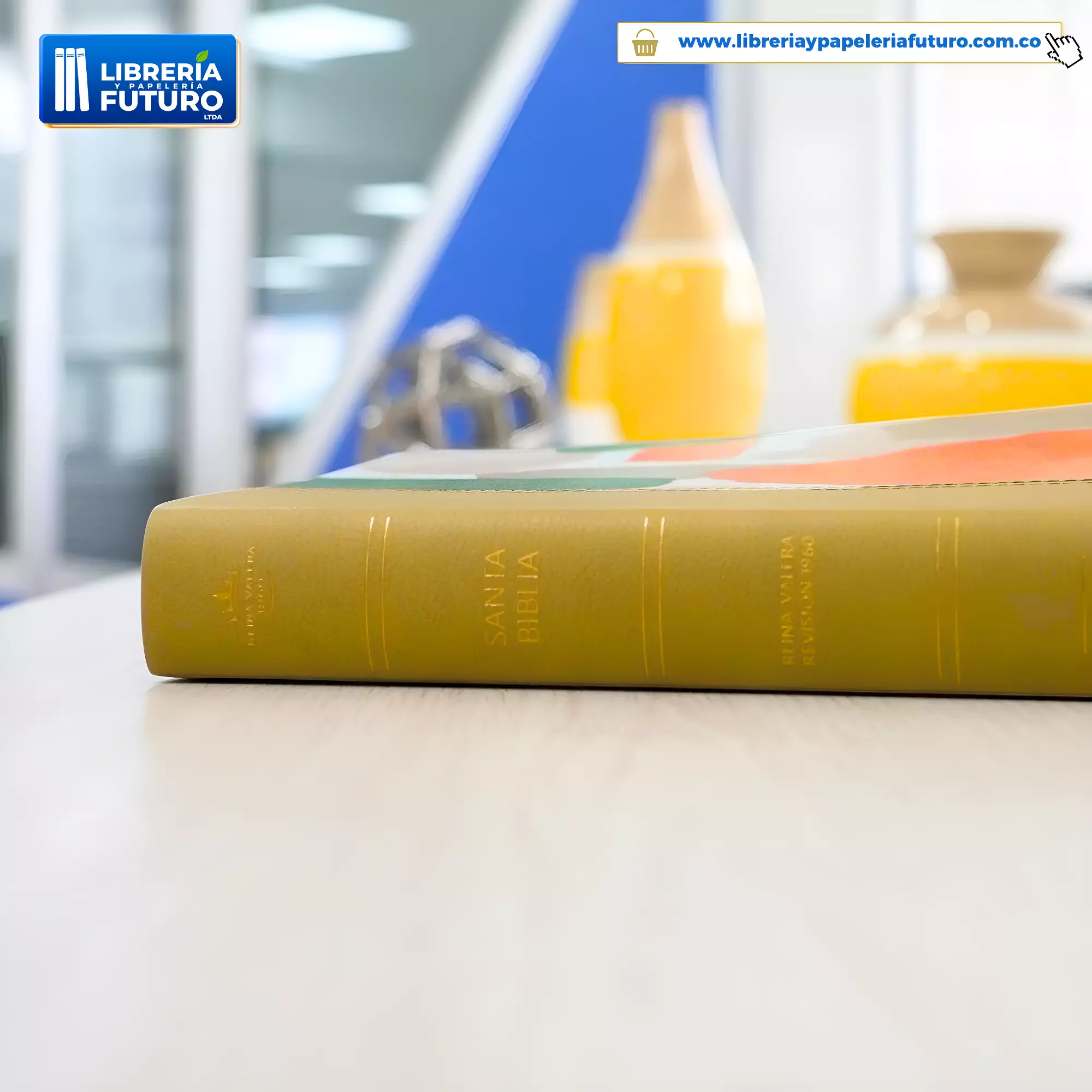 Biblia mediana Holman multicolor - Image 5