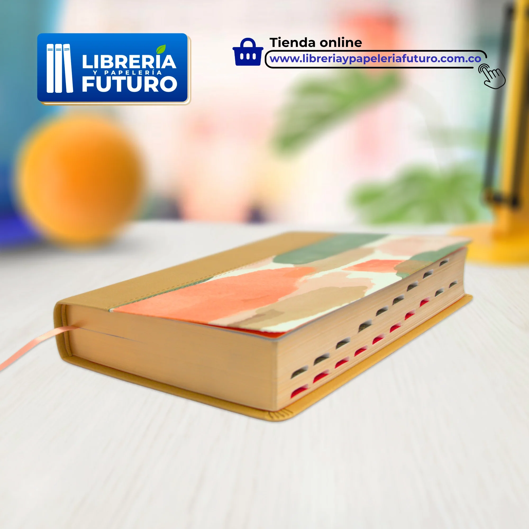 Biblia mediana Holman multicolor - Image 6