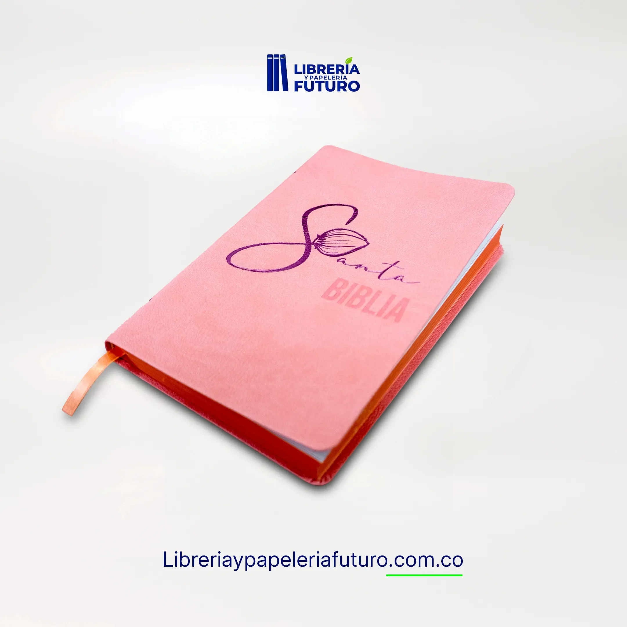 Biblia liviana rosada - Image 3
