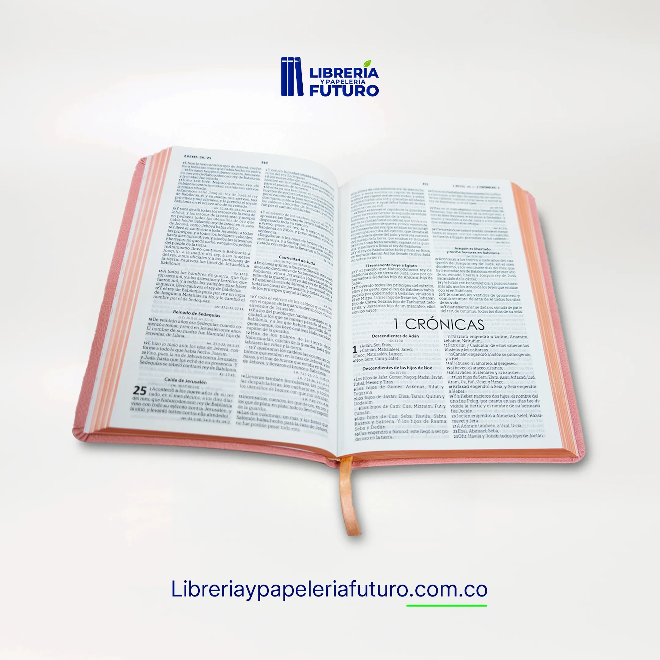 Biblia liviana rosada - Image 4