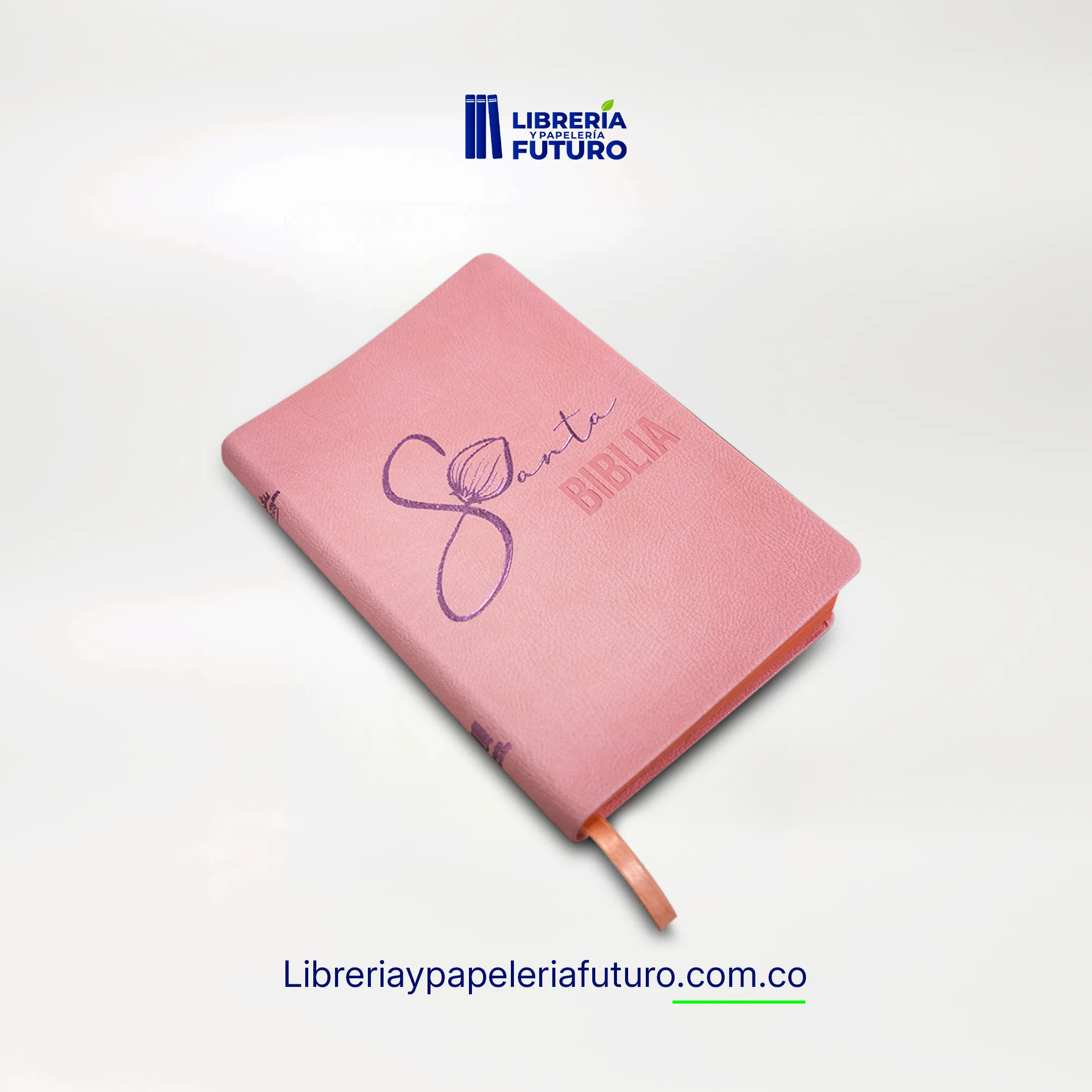 Biblia liviana rosada - Image 5