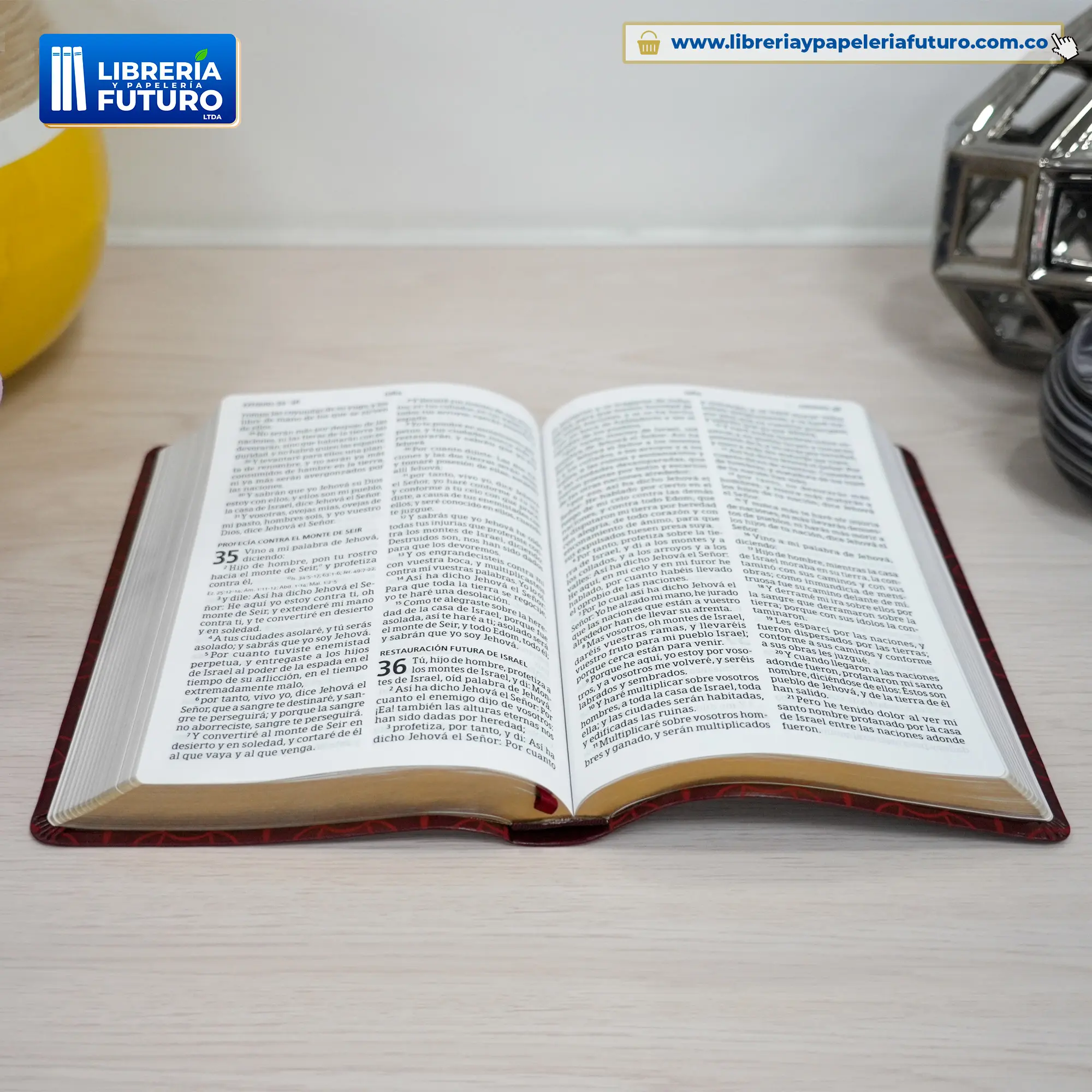 Biblia grande Holman terracota - Image 4