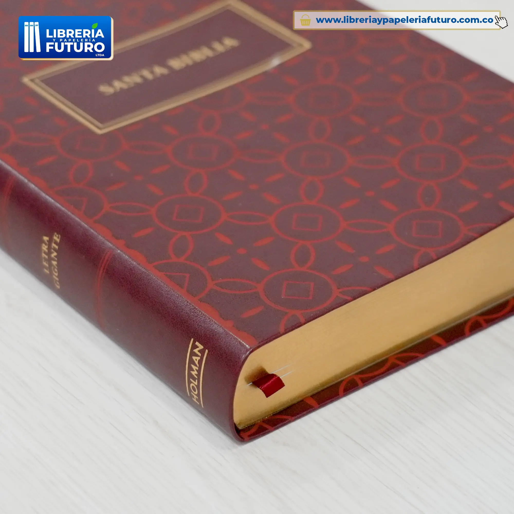 Biblia grande Holman terracota - Image 5