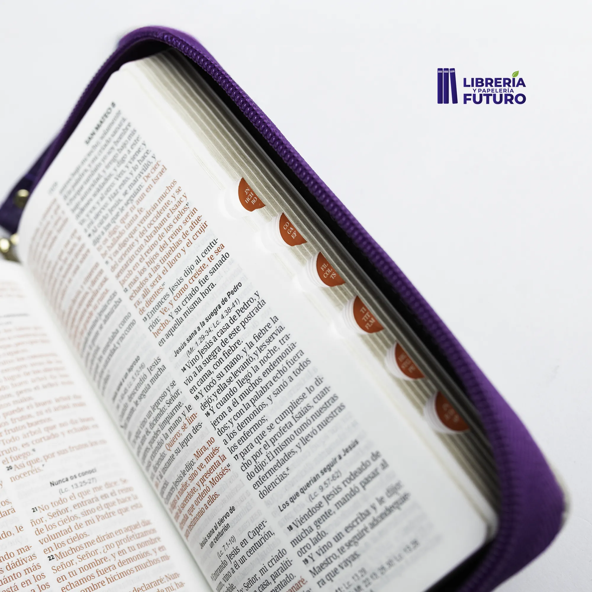 Biblia morada tipo chequera - Image 8